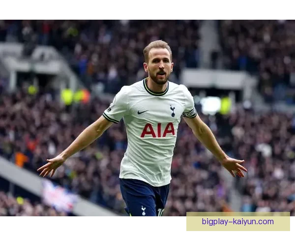 哈里·凯恩慈善基金会持续提升社会责任感，影响力稳步增长